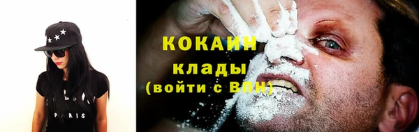дживик Алексин