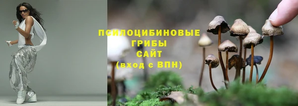 дживик Алзамай