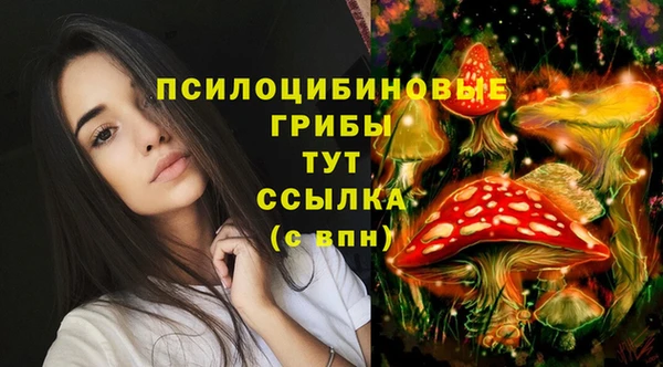 дживик Алзамай